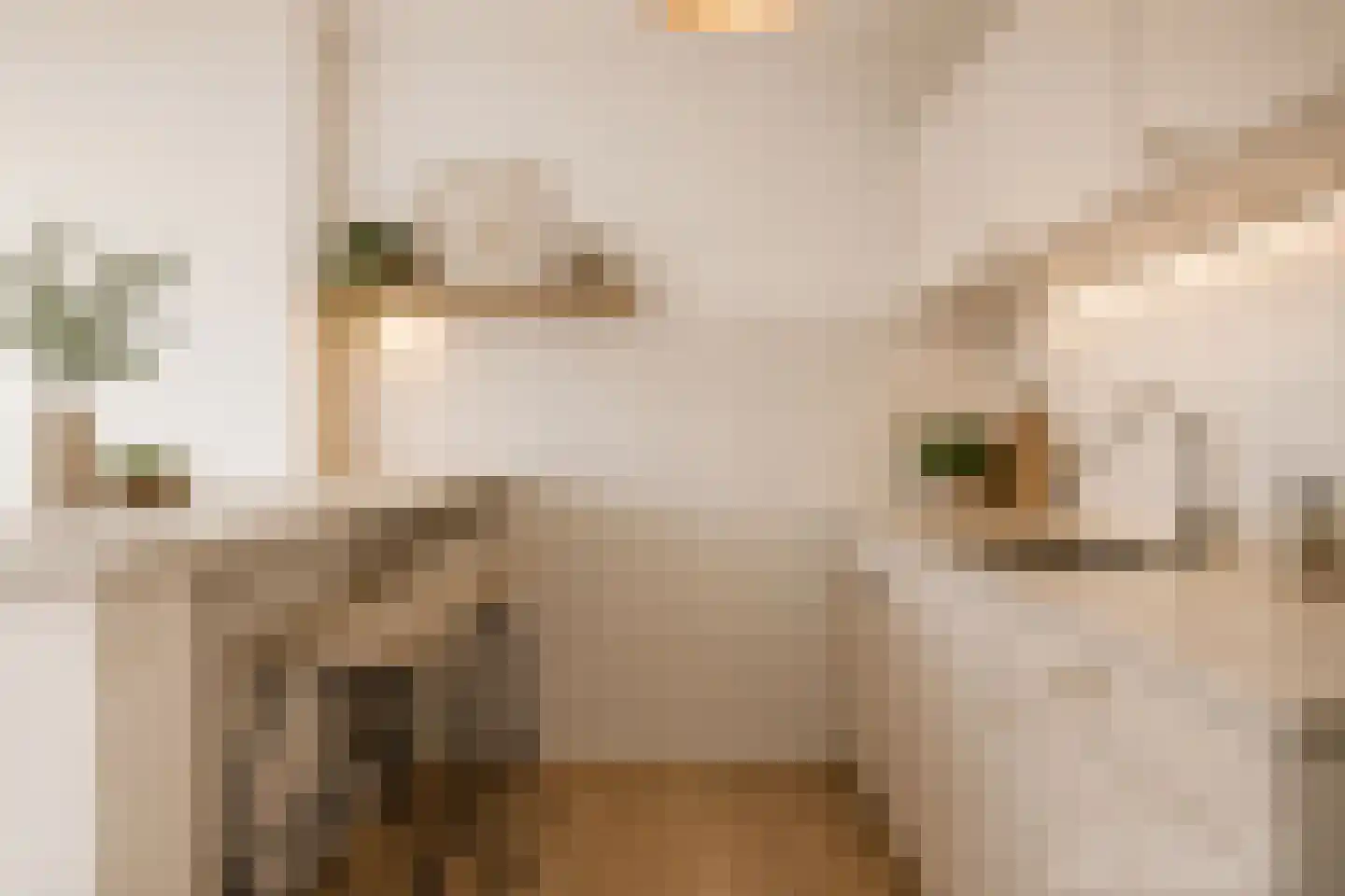 Maalakker 76 A Eindhoven thumbnail 5