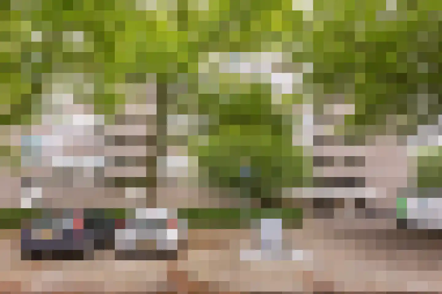 Maalakker 76 A Eindhoven thumbnail 9