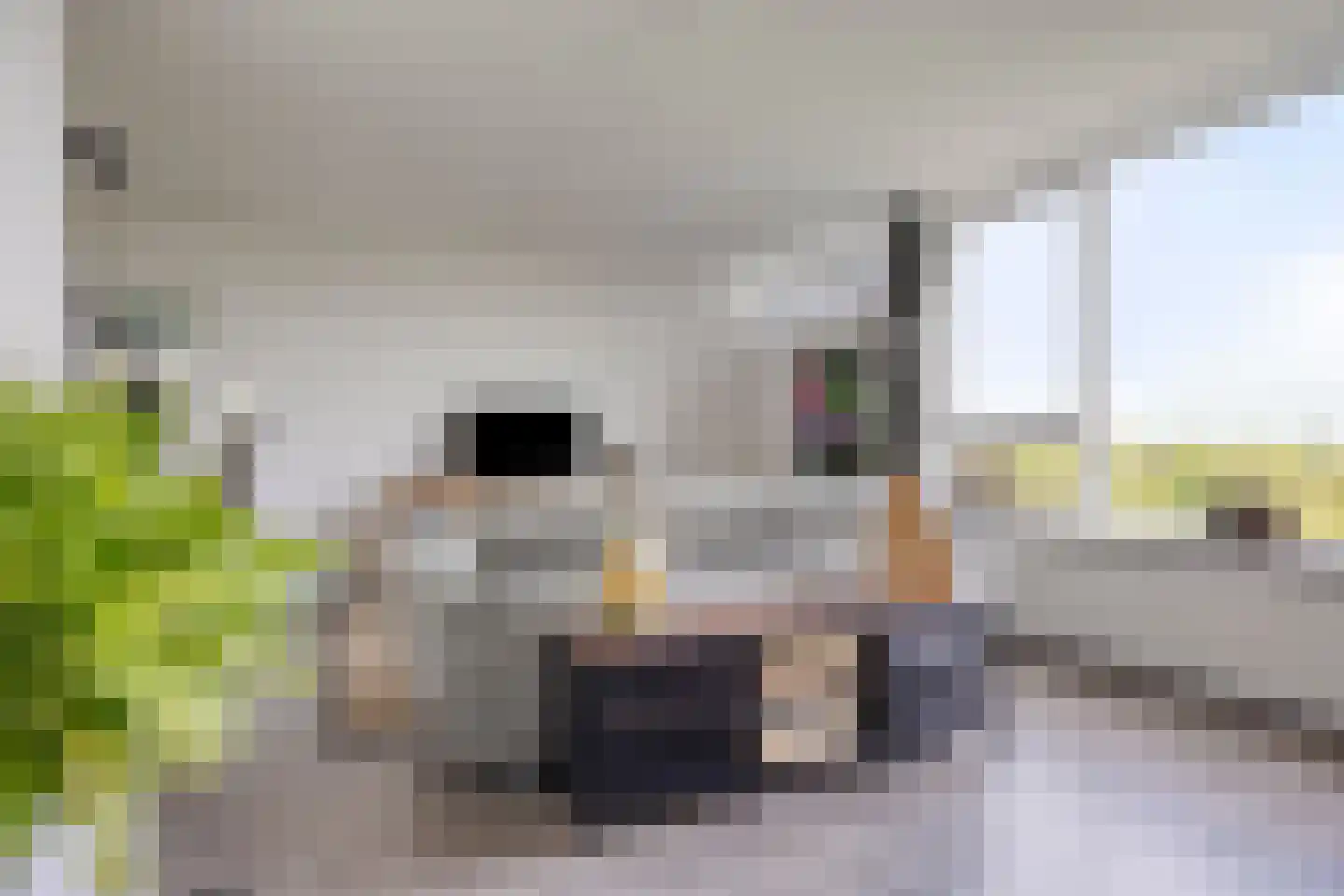 Maalakker 78 Eindhoven thumbnail 15