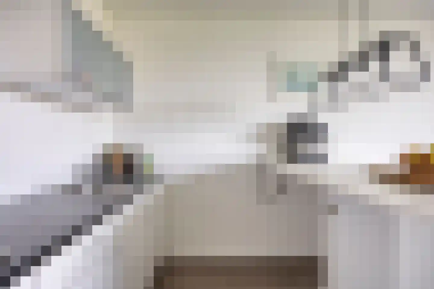 Maalakker 78 Eindhoven thumbnail 20
