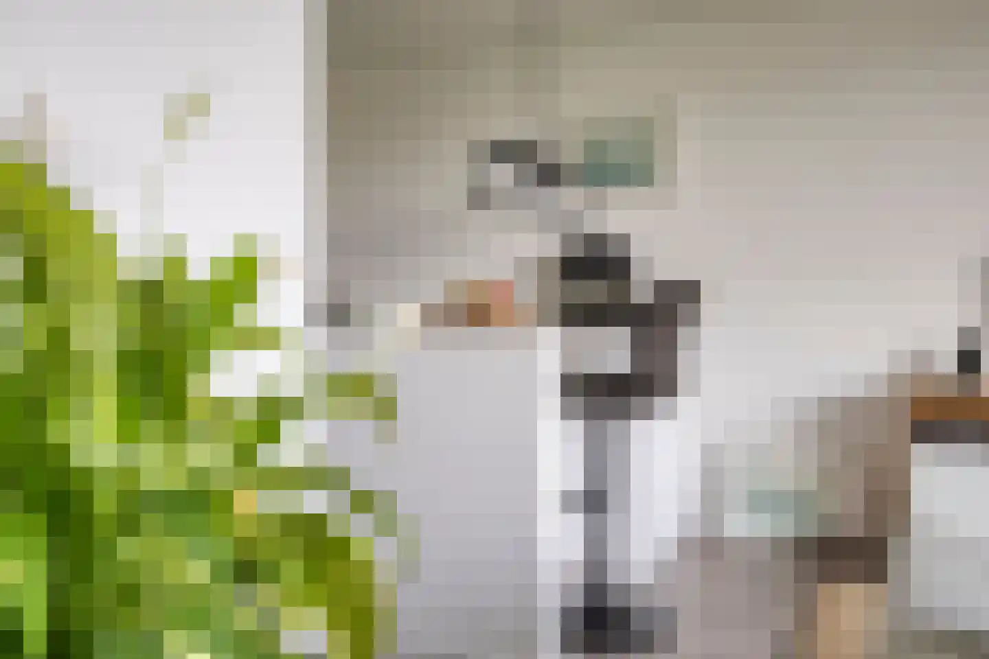 Maalakker 78 Eindhoven thumbnail 23