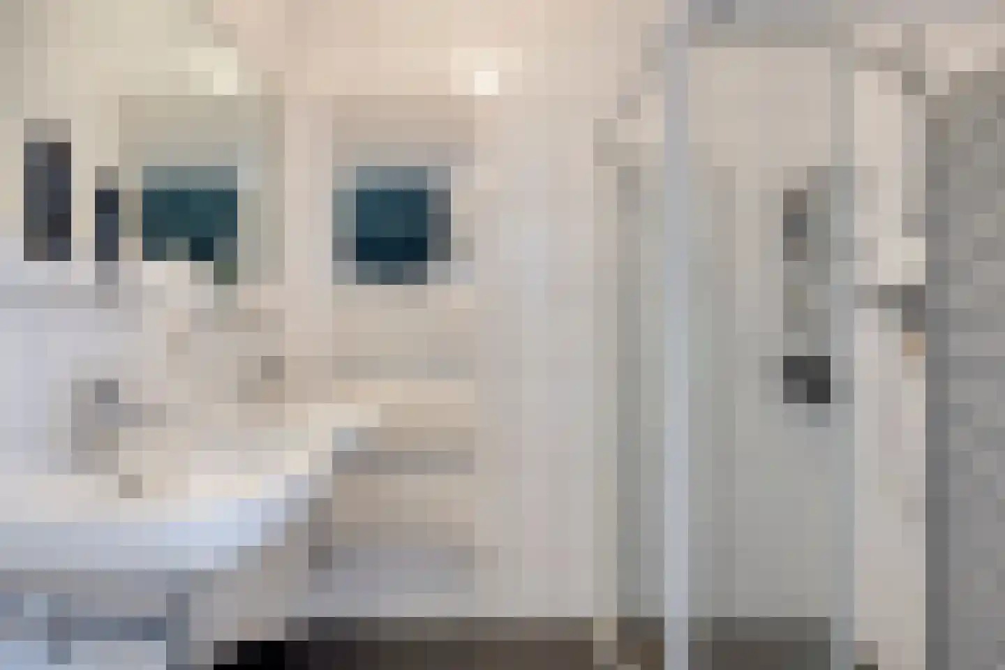 Maalakker 78 Eindhoven thumbnail 29