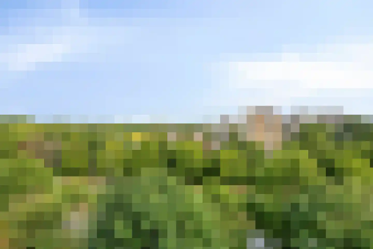 Maalakker 78 Eindhoven thumbnail 31