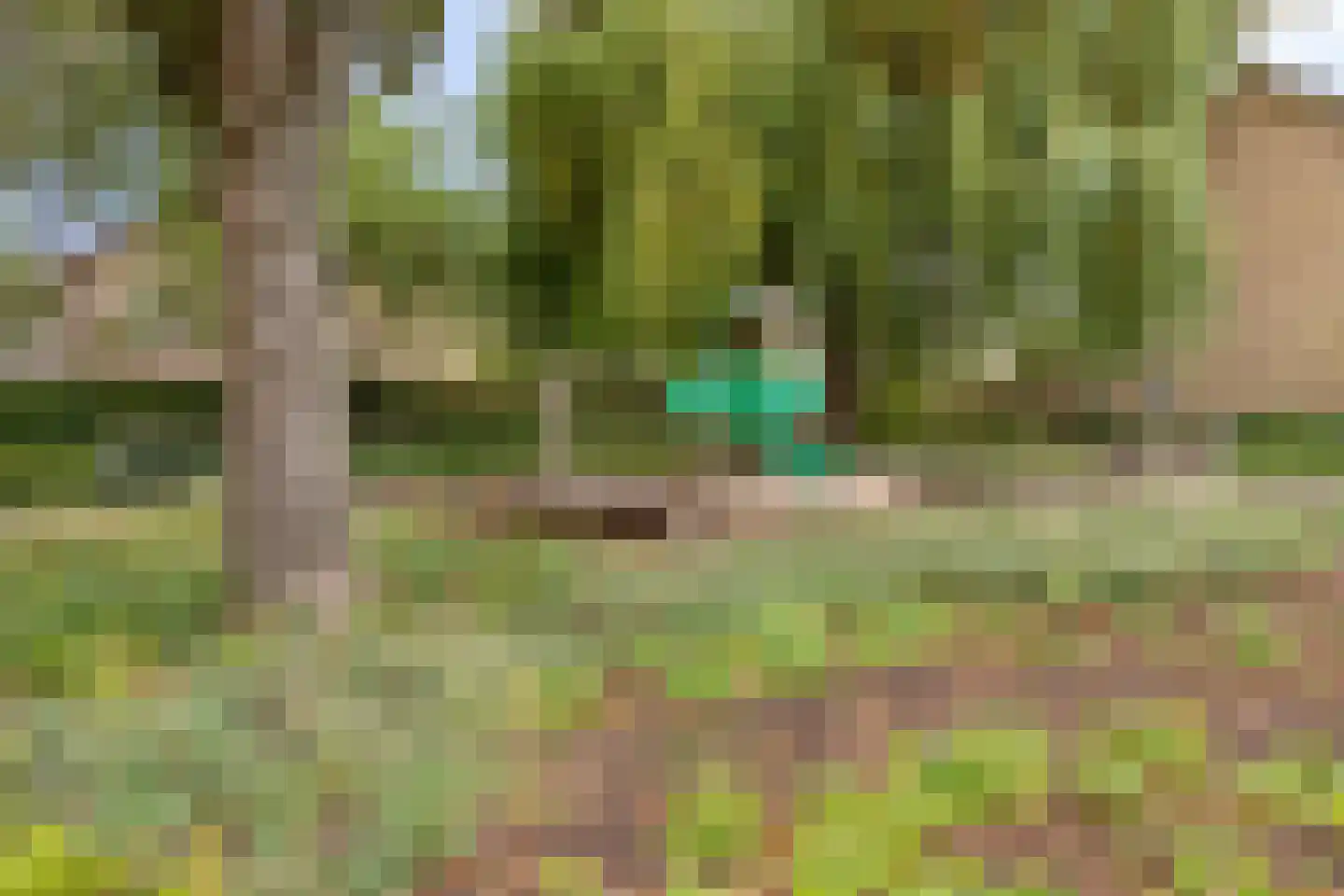 Maalakker 78 Eindhoven thumbnail 34