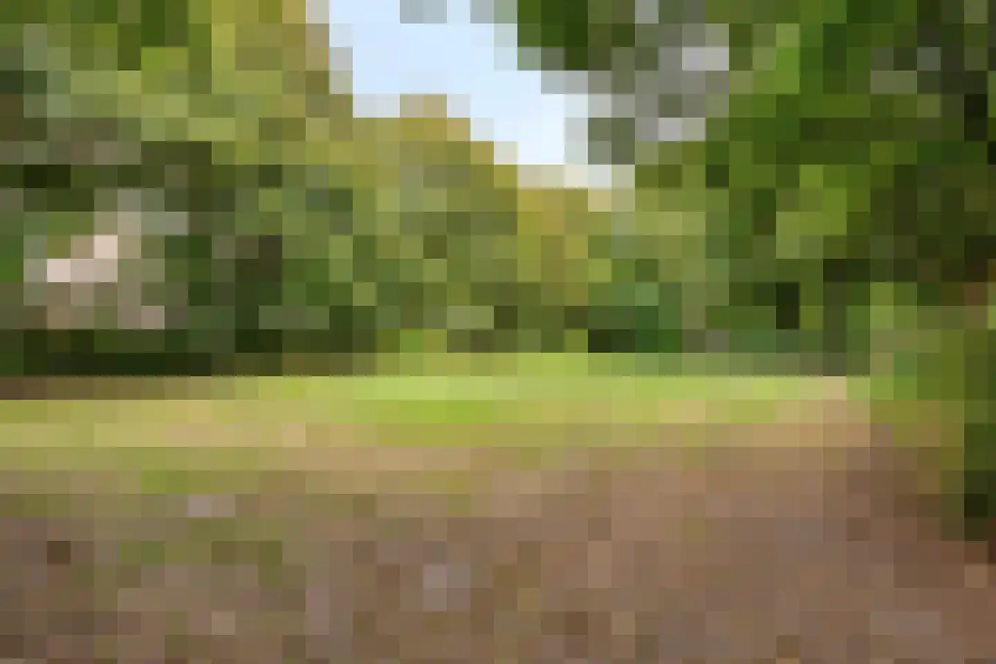 Maalakker 78 Eindhoven thumbnail 35