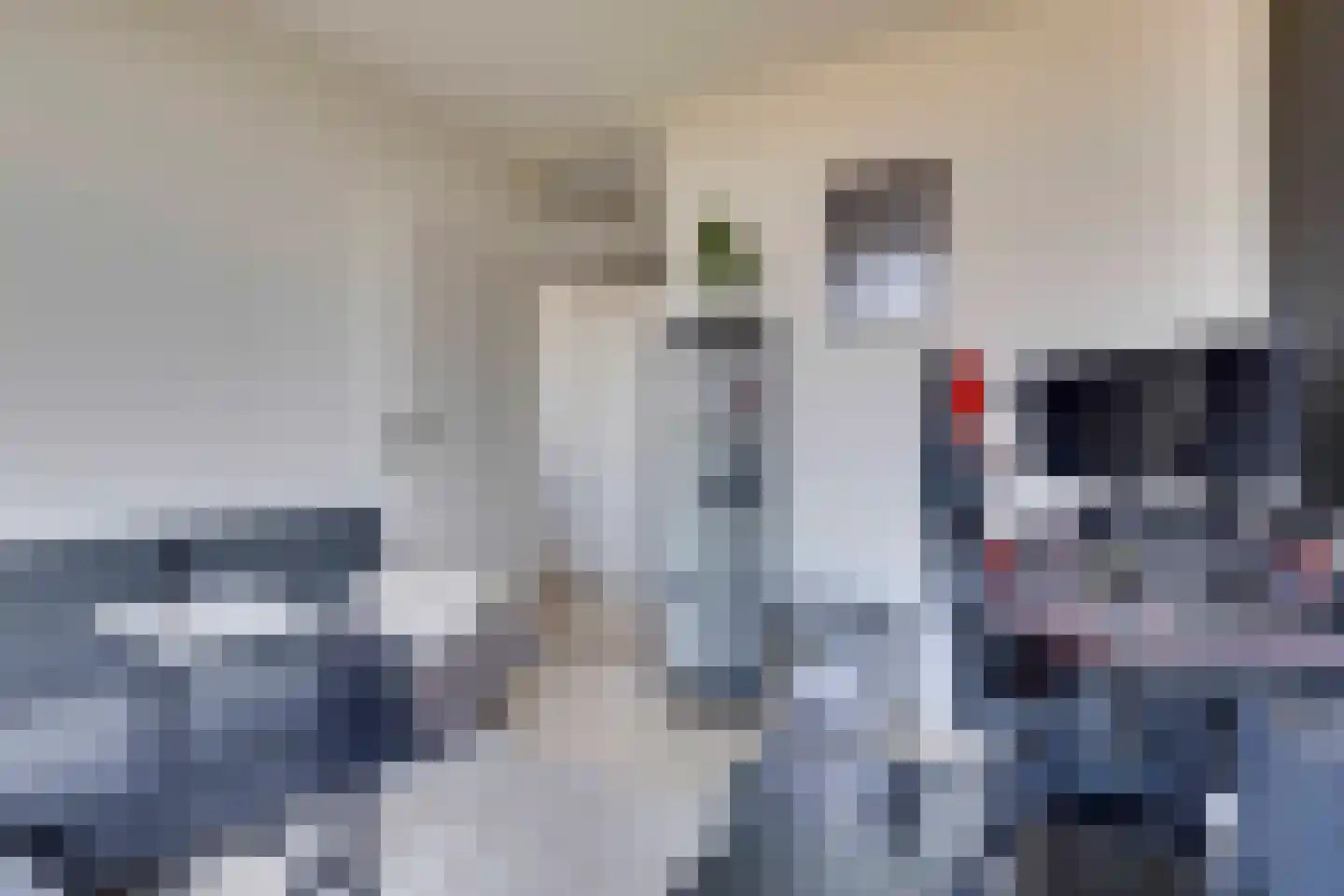 Maalakker 82 A Eindhoven thumbnail 15
