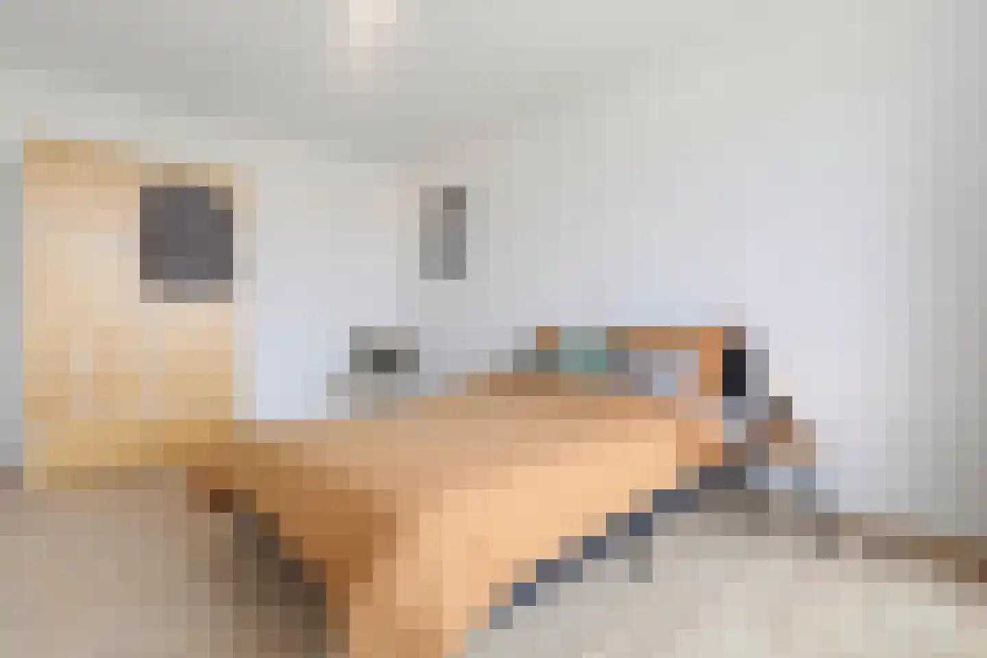 Maalakker 82 A Eindhoven thumbnail 5