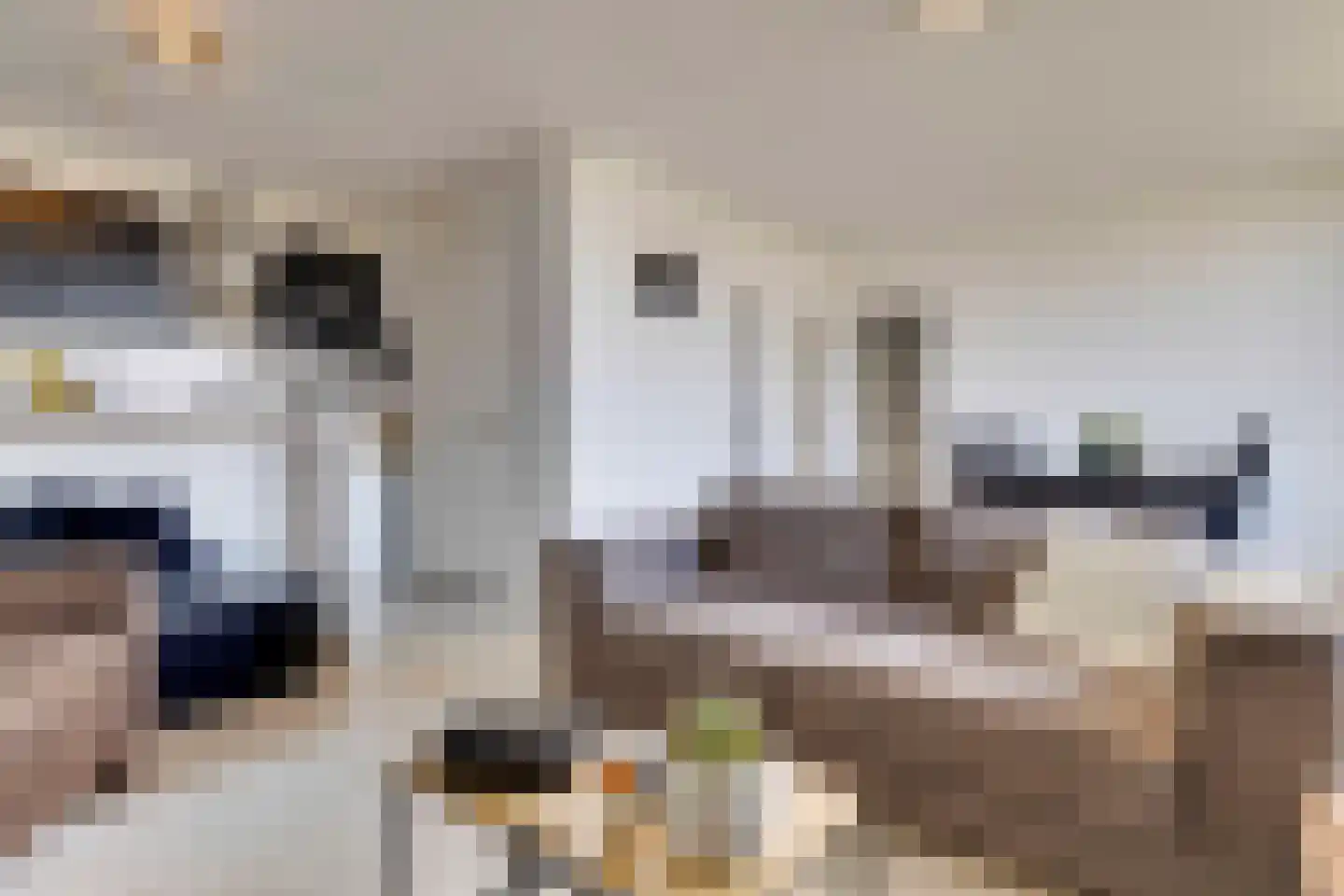 Maalakker 82 A Eindhoven thumbnail 6