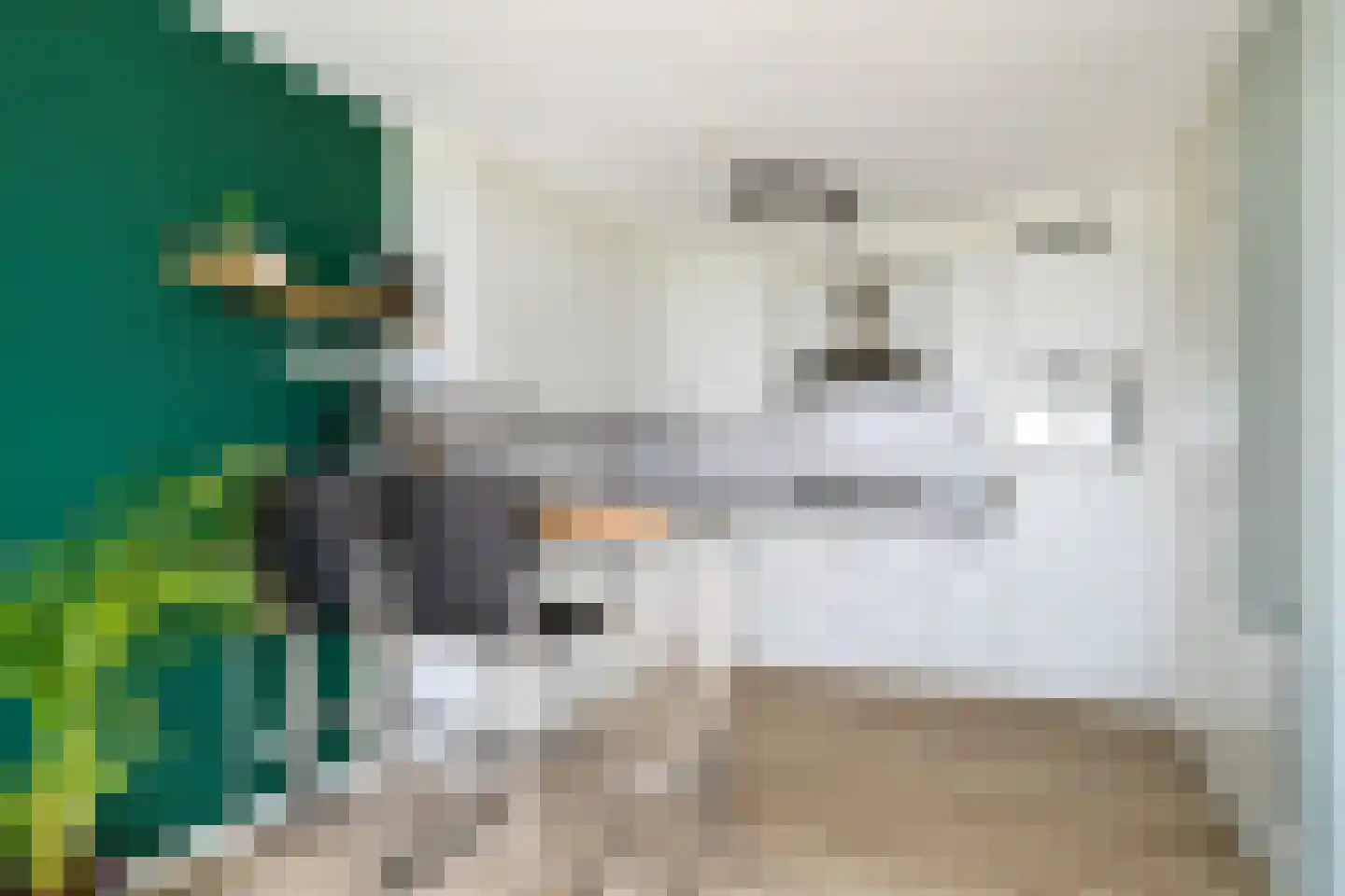 Maalakker 86 A Eindhoven thumbnail 15