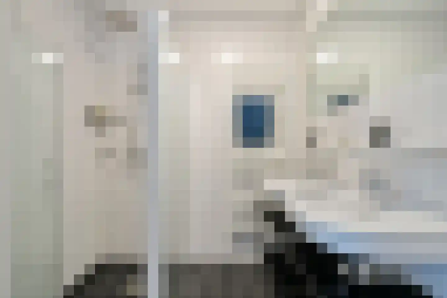 Maalakker 86 A Eindhoven thumbnail 21