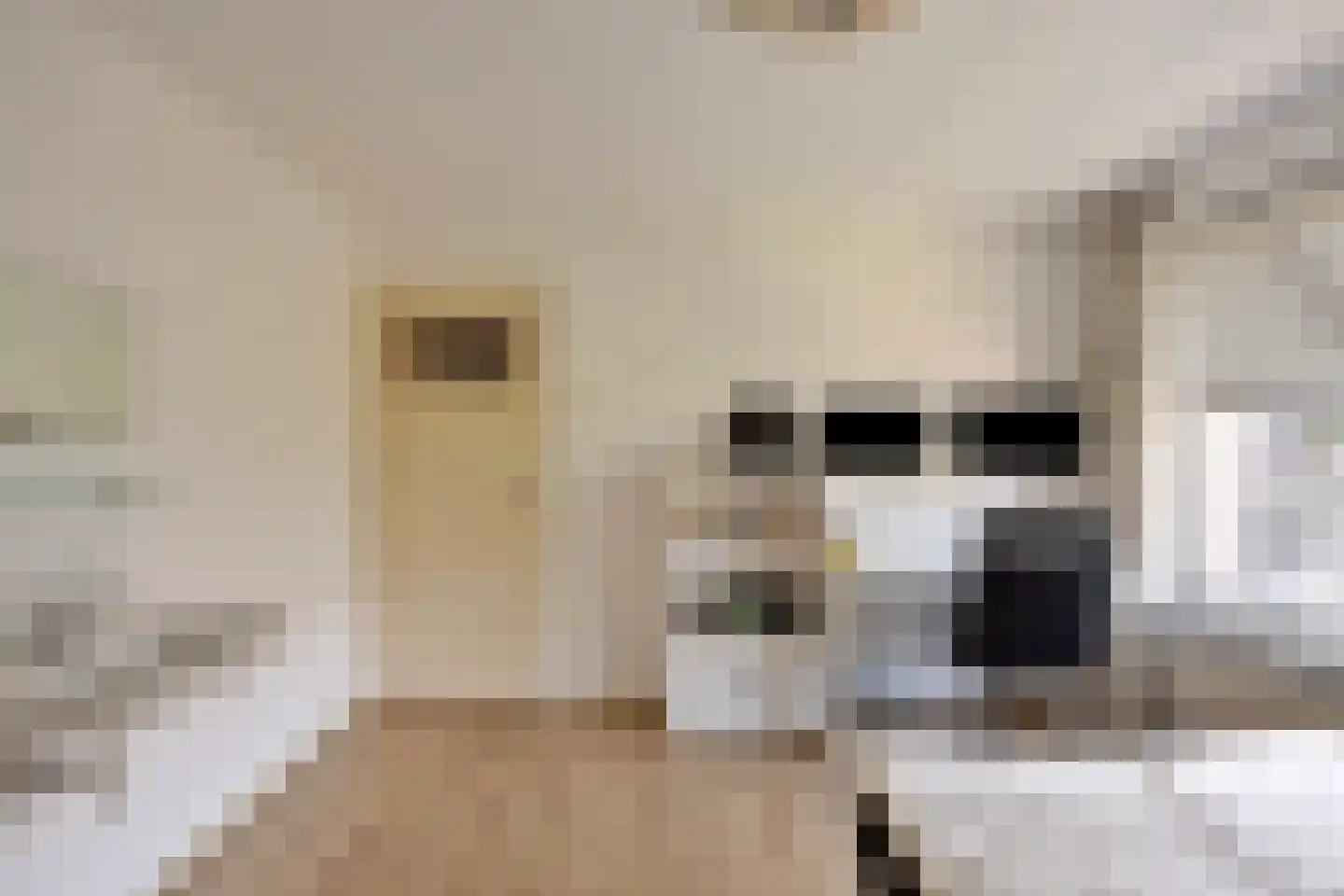 Maalakker 98 Eindhoven thumbnail 26