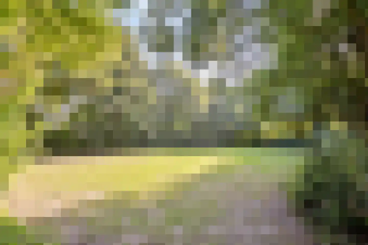 Maalakker 98 Eindhoven thumbnail 39