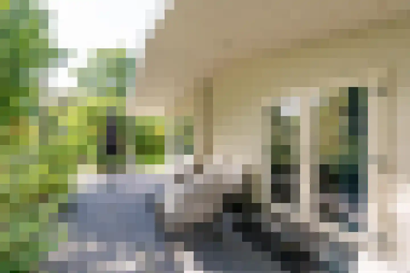 Maalbekerweg 25 102 Belfeld thumbnail 6