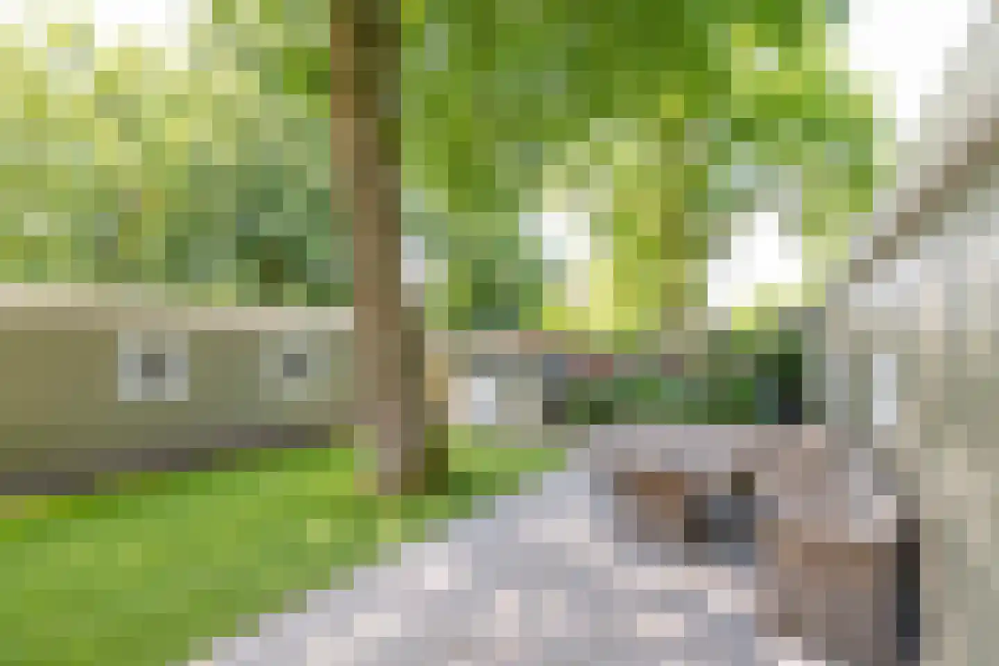 Maalbekerweg 25 2019 Belfeld thumbnail 4