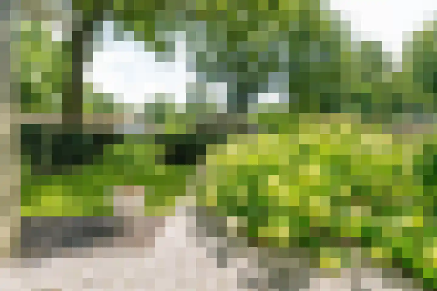 Maalbekerweg 25 2019 Belfeld thumbnail 5