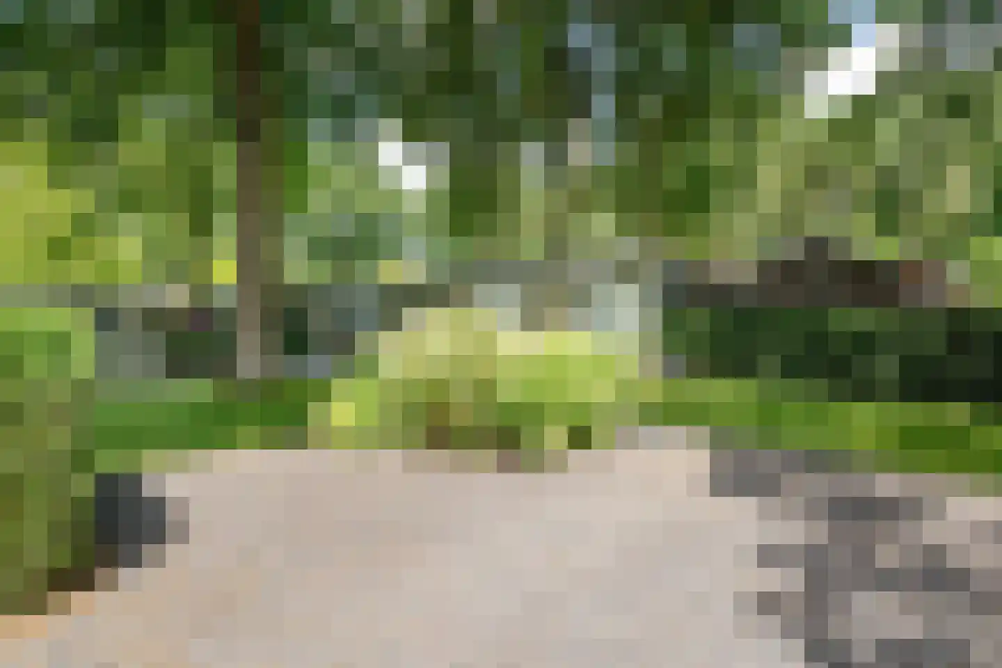 Maalbekerweg 25 2019 Belfeld thumbnail 8