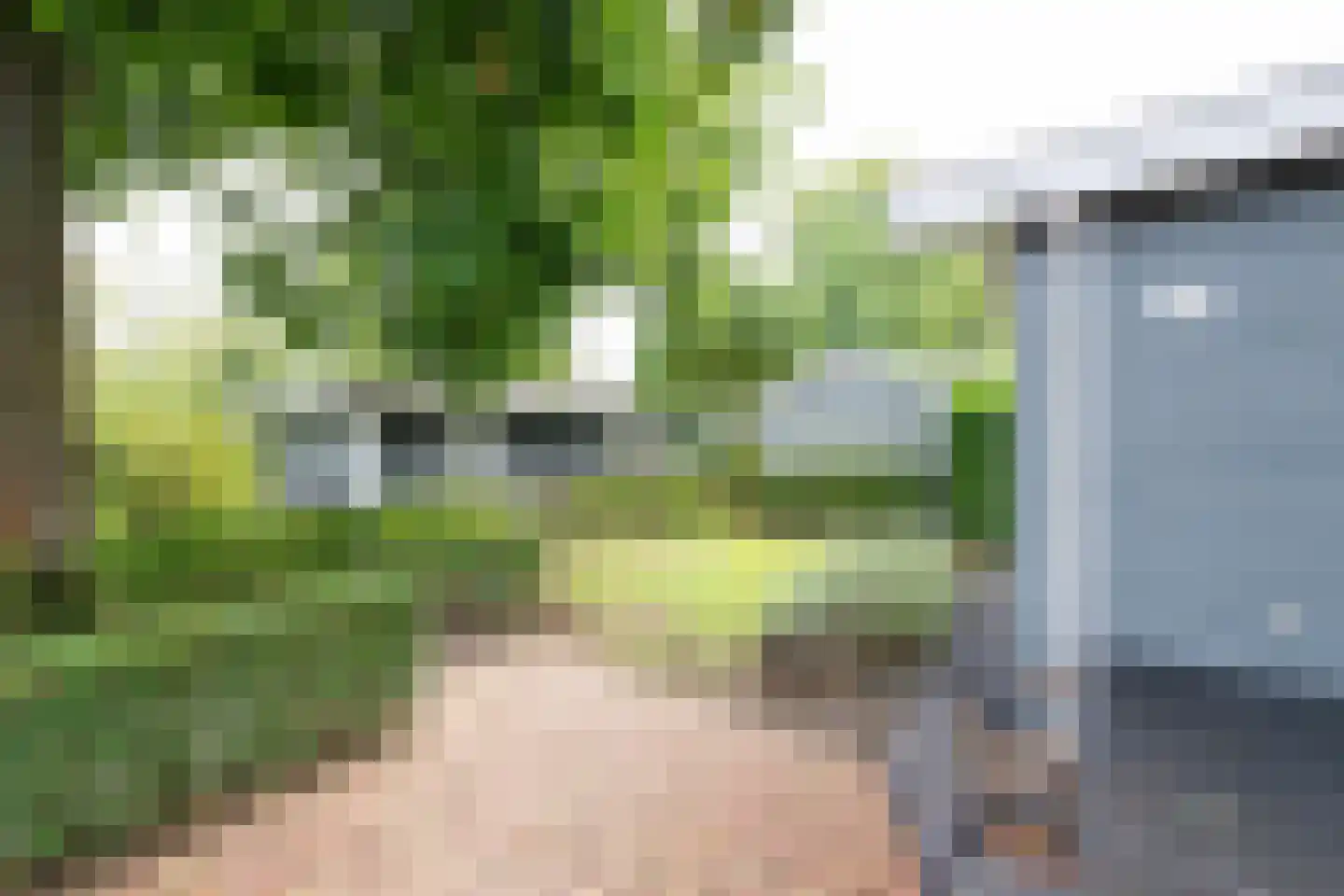 Maalbekerweg 25 2058 Belfeld thumbnail 4