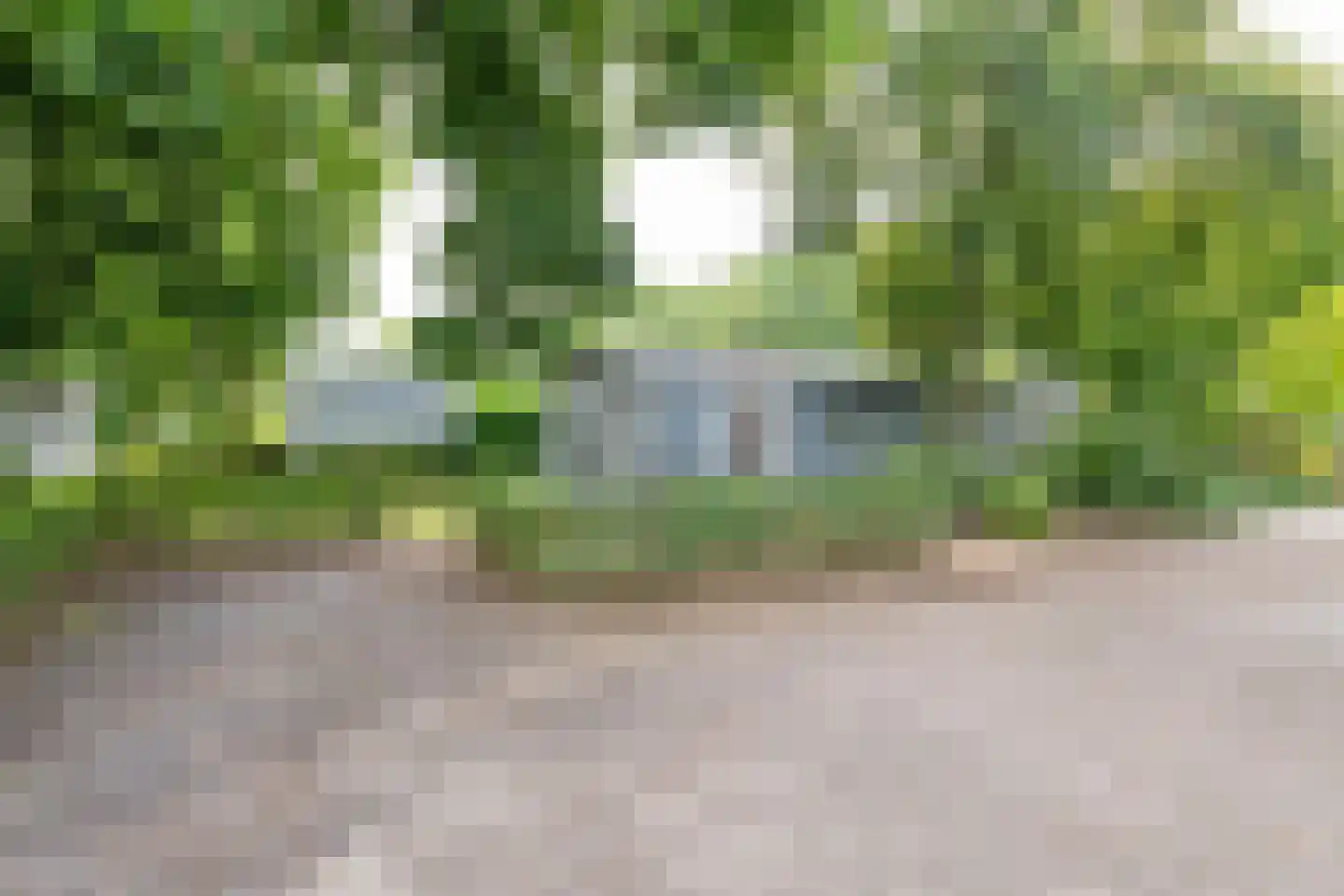 Maalbekerweg 25 2058 Belfeld thumbnail 6