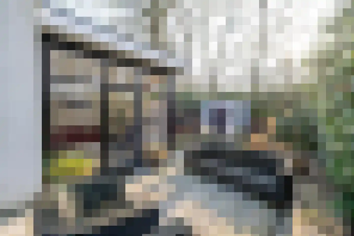 Maalbekerweg 25 2081 Belfeld thumbnail 4