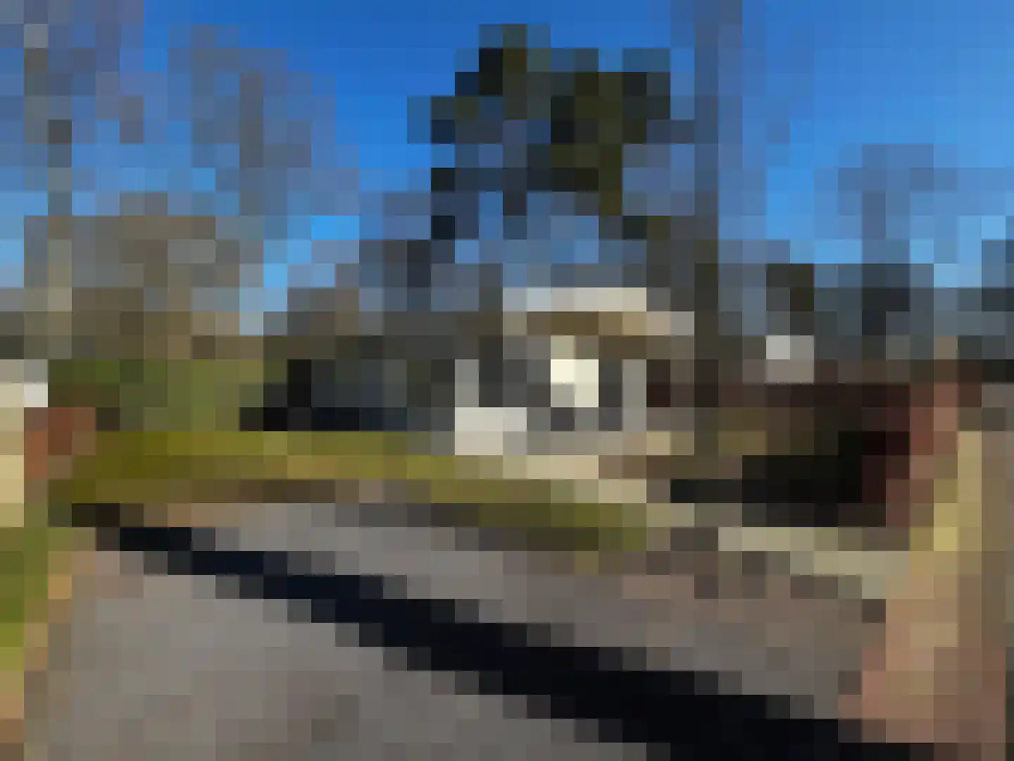 Maalbekerweg 25 2106 Belfeld thumbnail 17