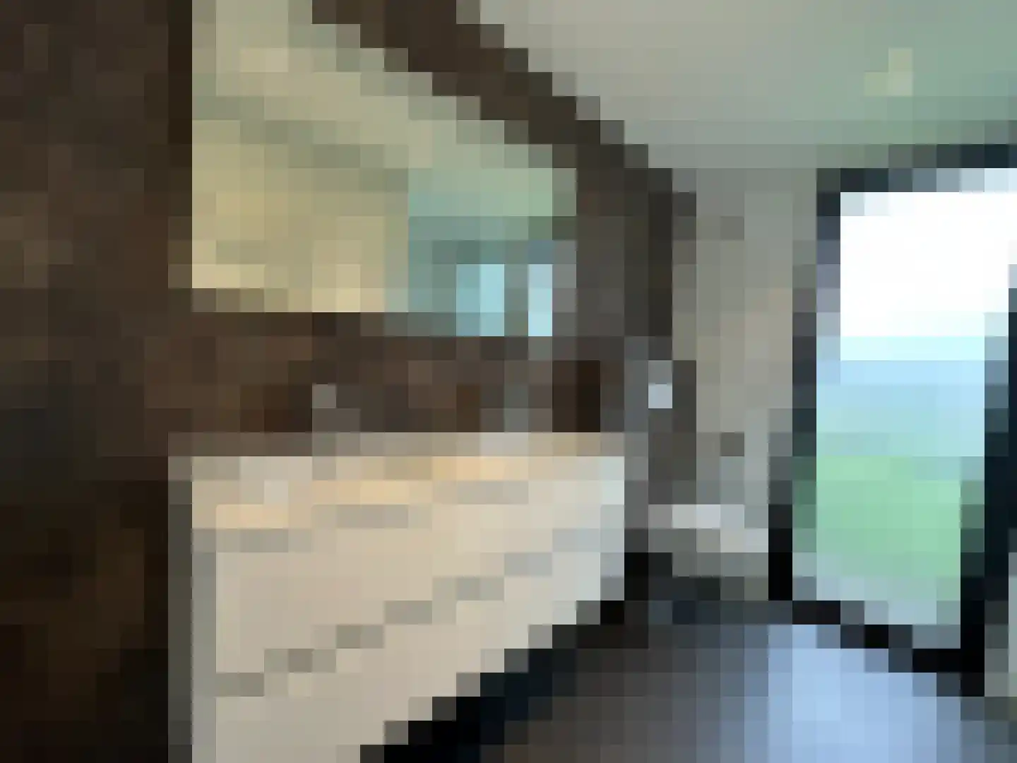 Maalbekerweg 25 2137 Belfeld thumbnail 13