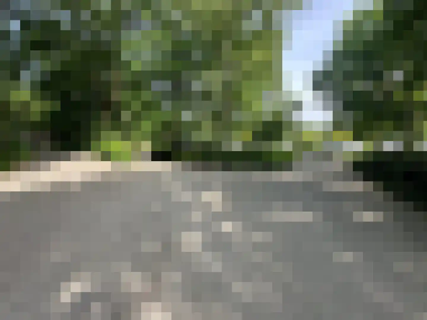 Maalbekerweg 25 2137 Belfeld thumbnail 19