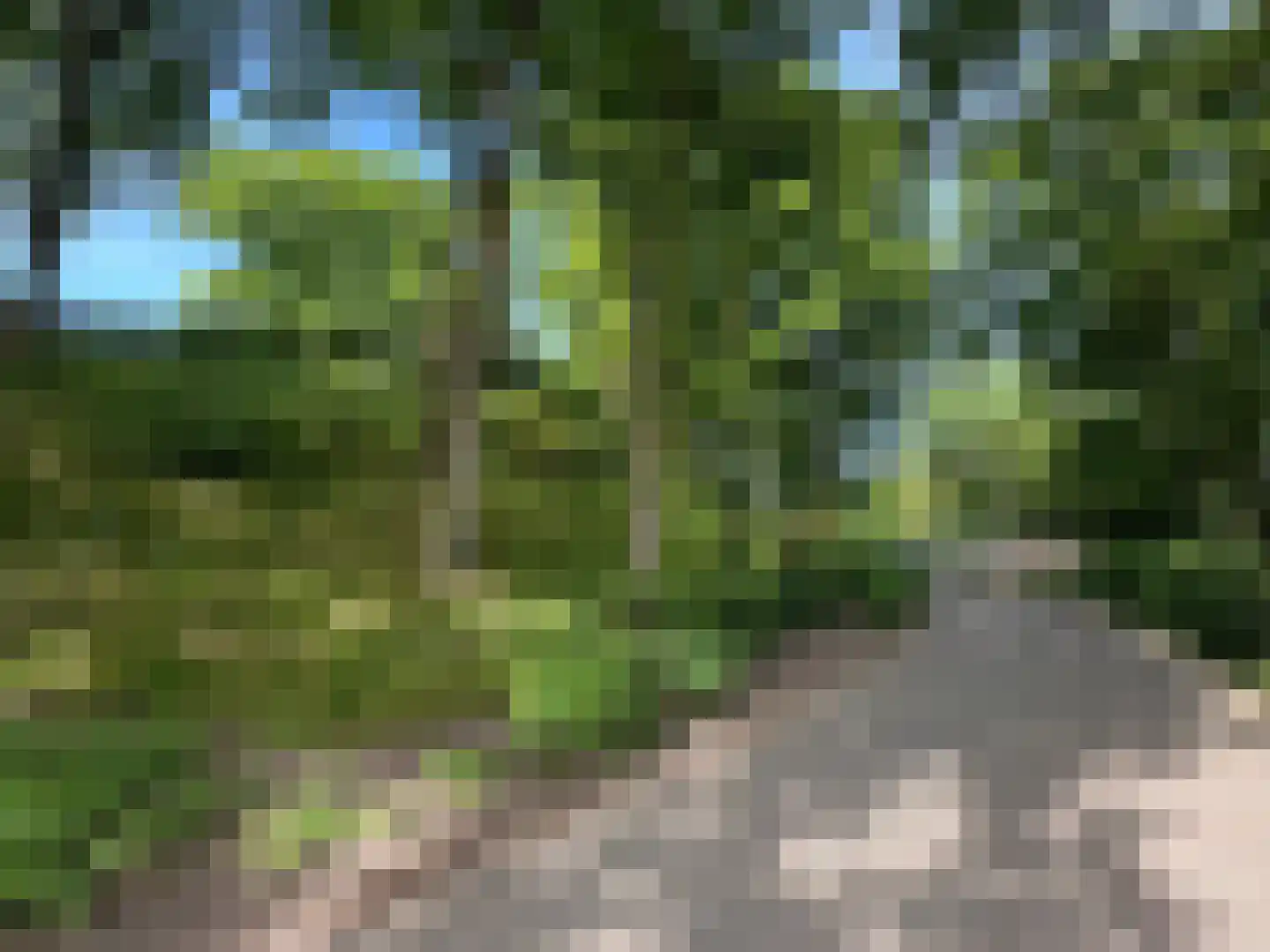 Maalbekerweg 25 2137 Belfeld thumbnail 20