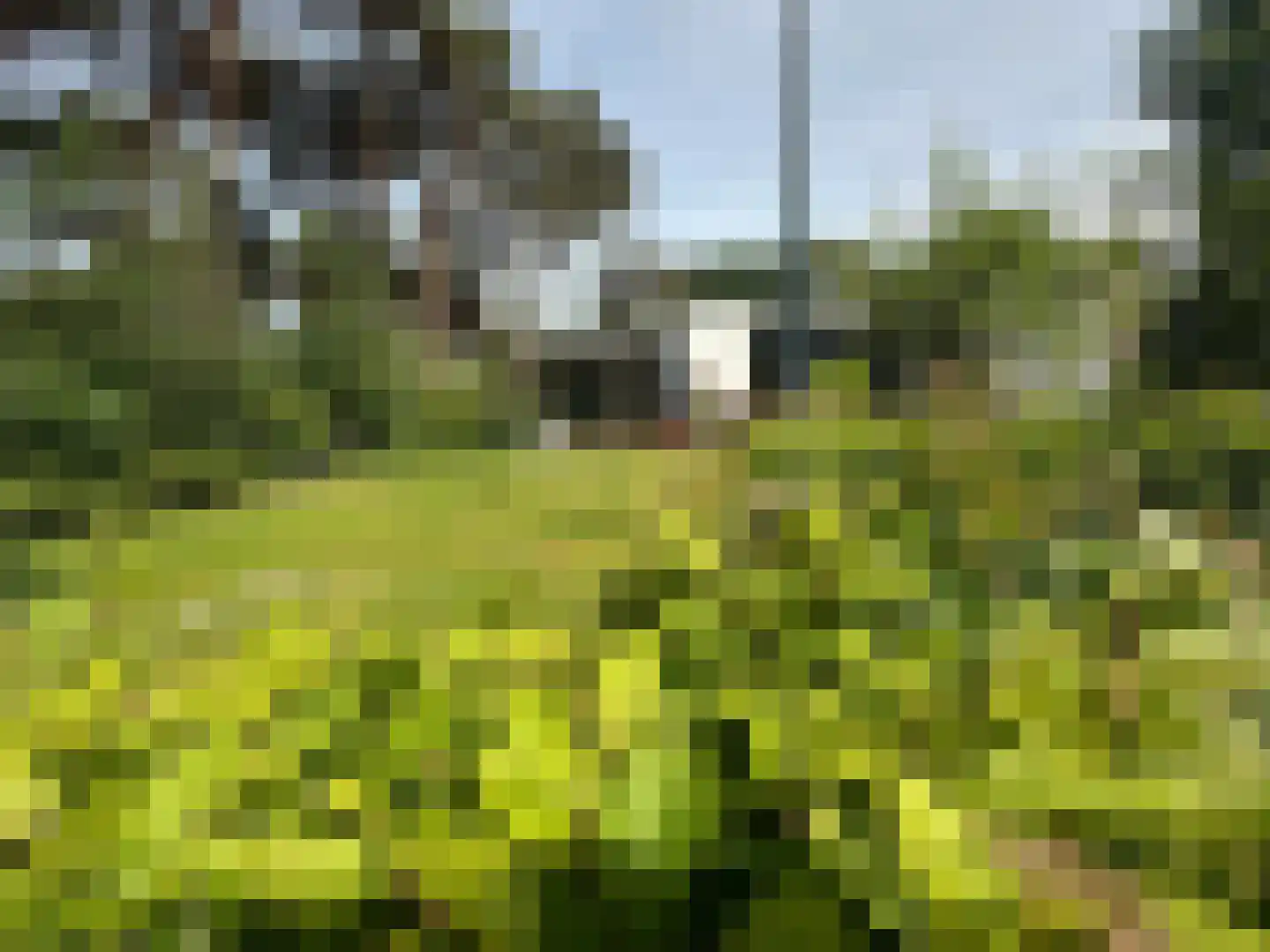 Maalbekerweg 25 2137 Belfeld thumbnail 23