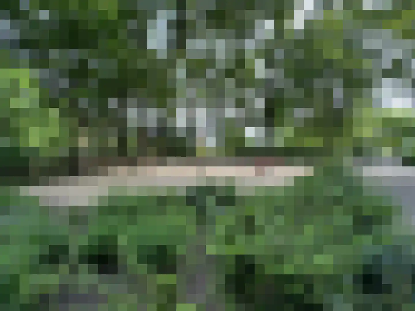 Maalbekerweg 25 2137 Belfeld thumbnail 25