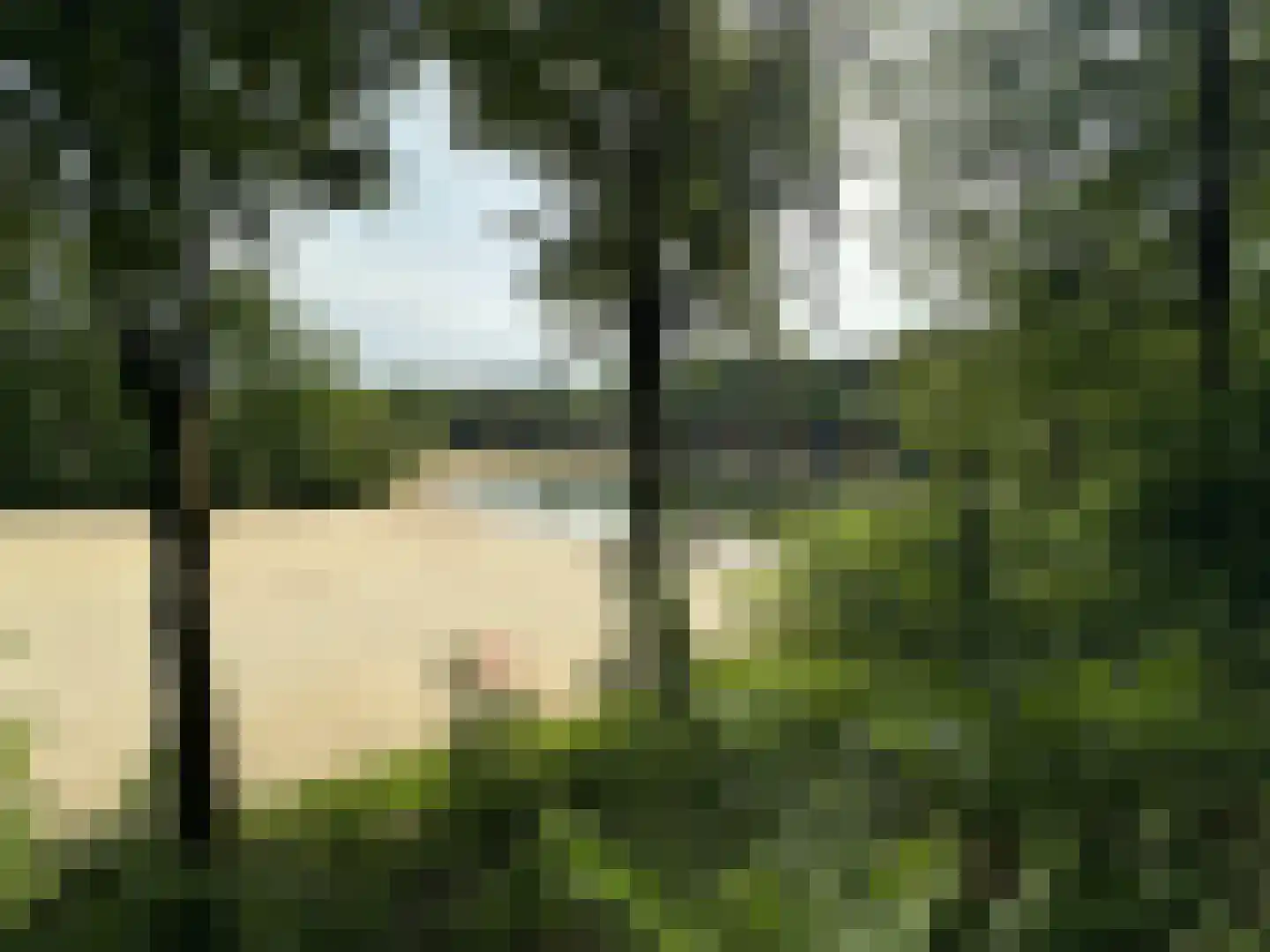 Maalbekerweg 25 2137 Belfeld thumbnail 26