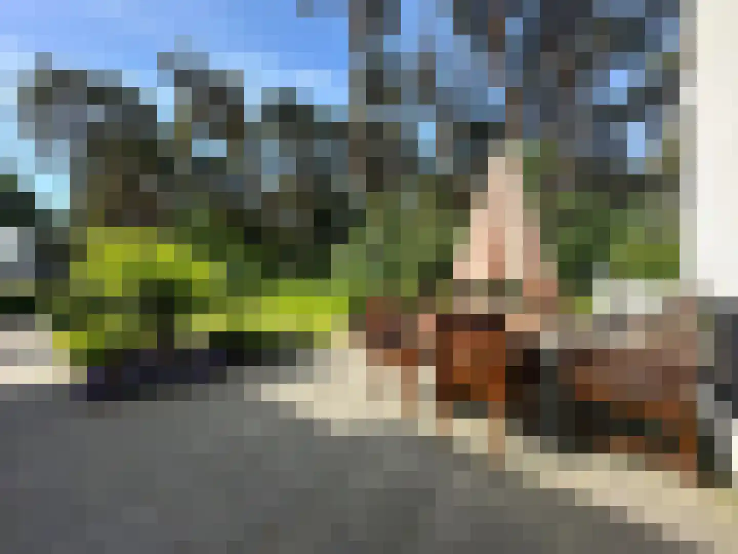 Maalbekerweg 25 2137 Belfeld thumbnail 5