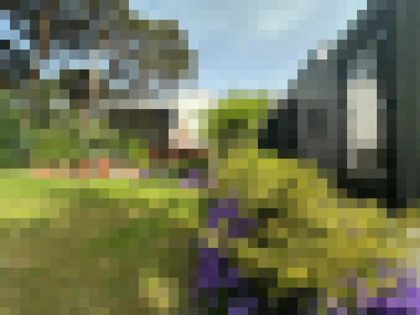 Maalbekerweg 25 2137 Belfeld thumbnail 6