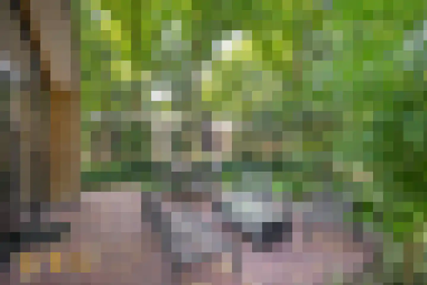 Maalbekerweg 25 2433 Belfeld thumbnail 17