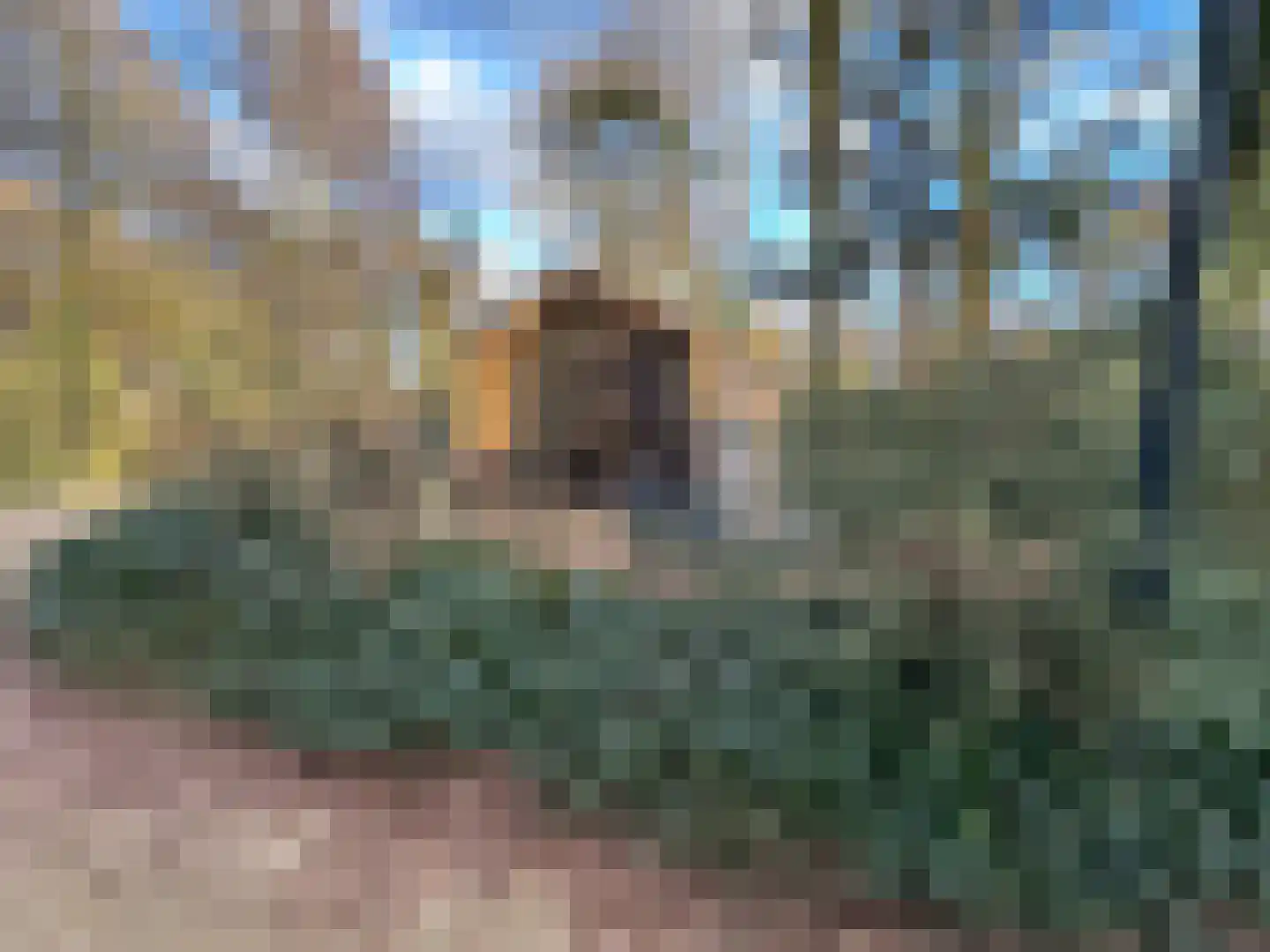Maalbekerweg 25 423 Belfeld thumbnail 10