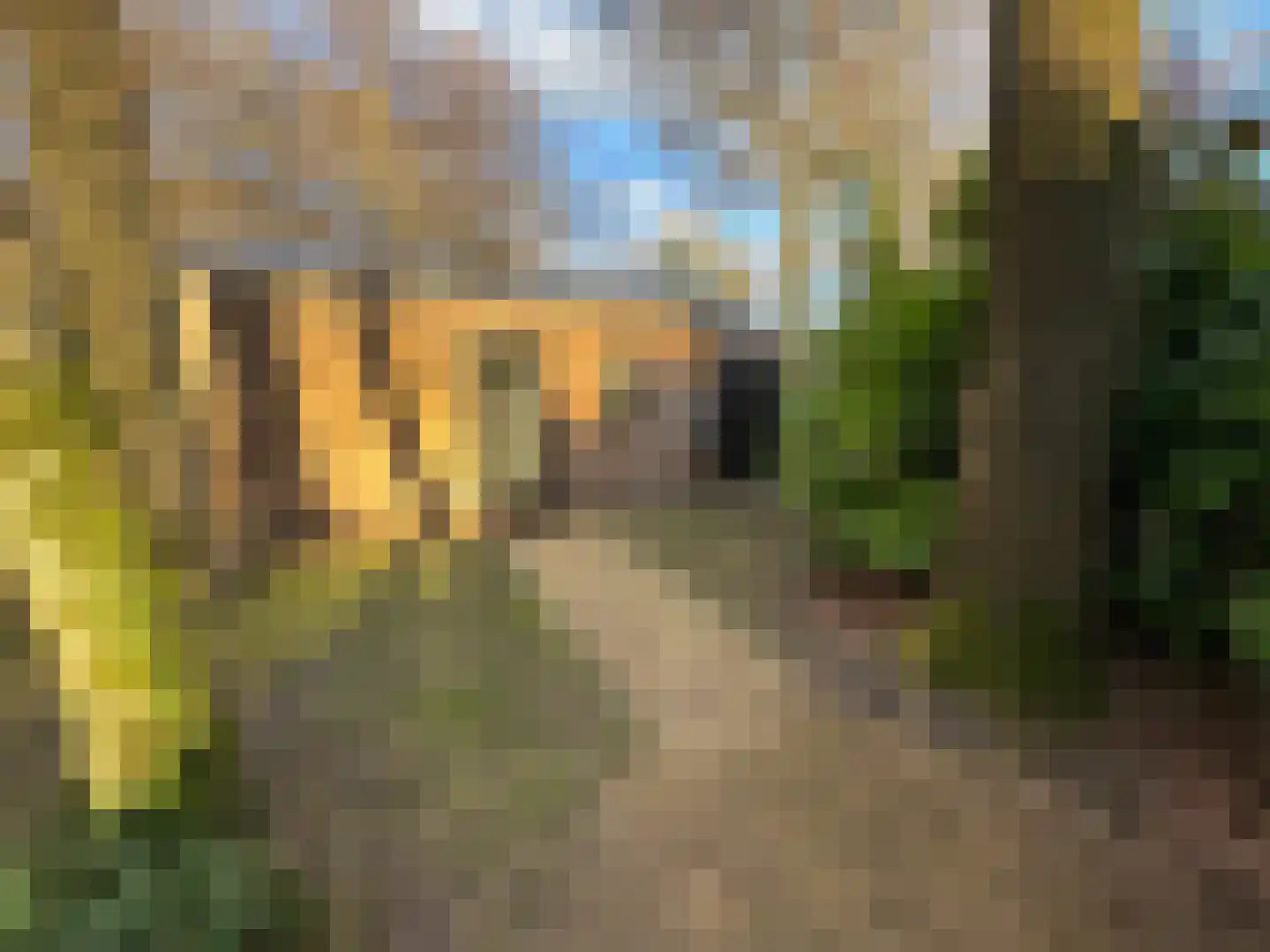 Maalbekerweg 25 423 Belfeld thumbnail 11