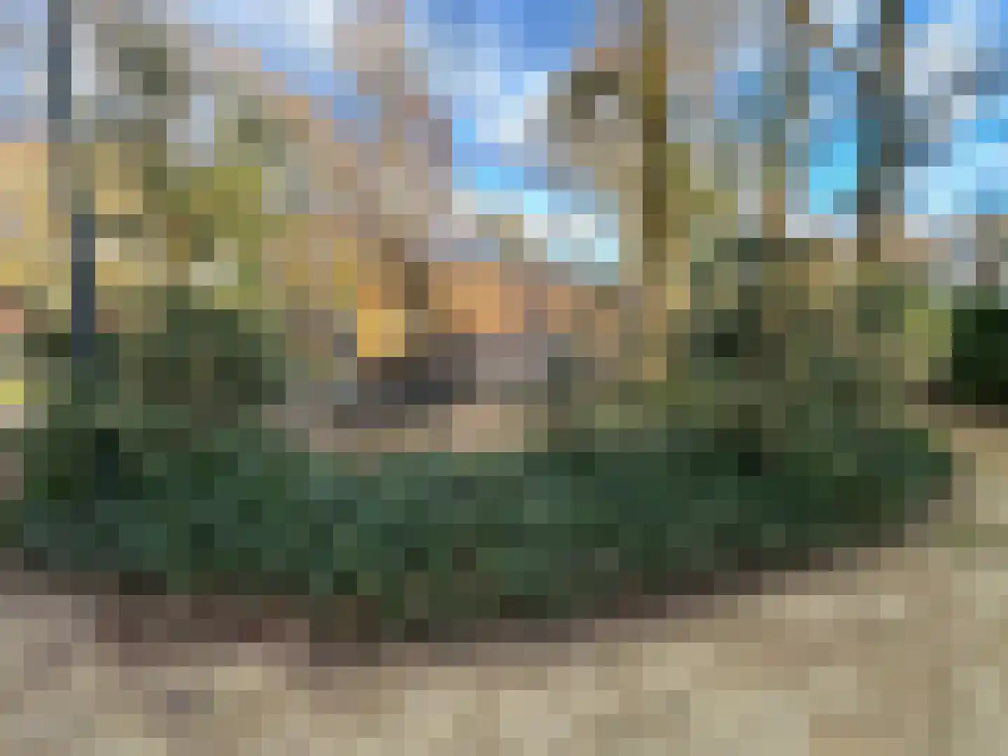 Maalbekerweg 25 423 Belfeld thumbnail 12