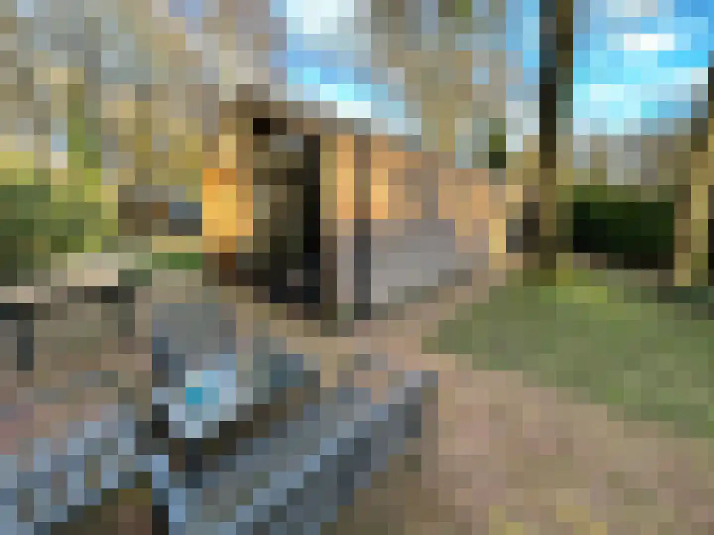 Maalbekerweg 25 423 Belfeld thumbnail 9