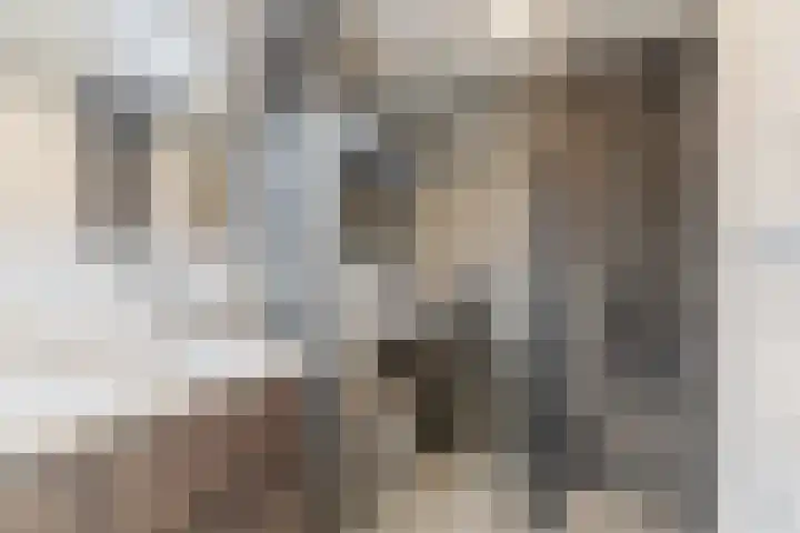 Maalbergenstraat 30 Tilburg thumbnail 23