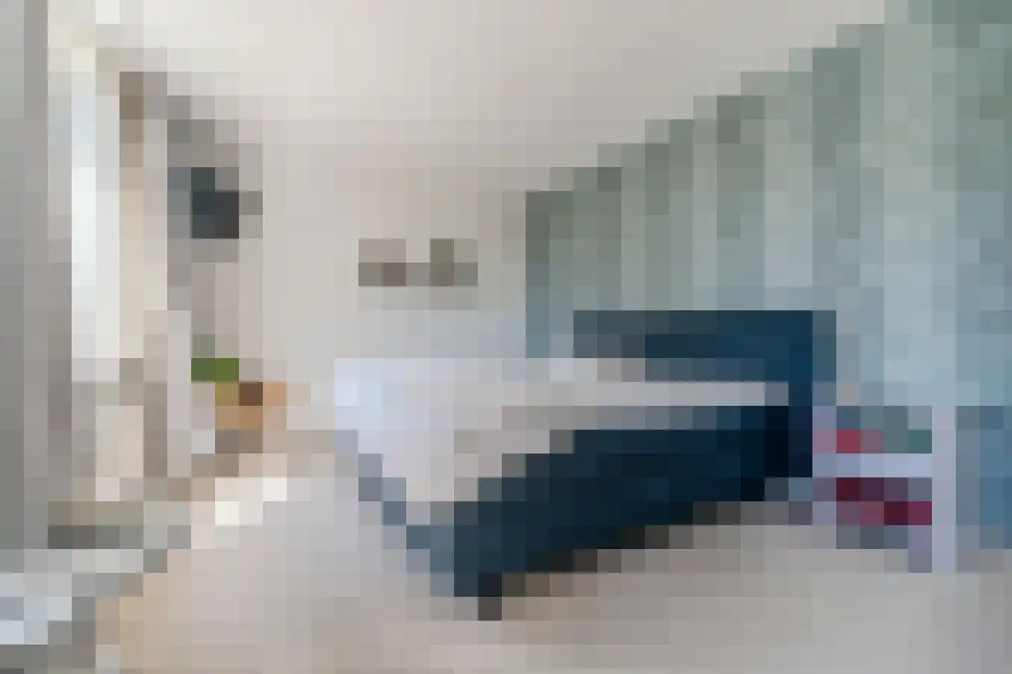 Maalbergenstraat 42 Tilburg thumbnail 20