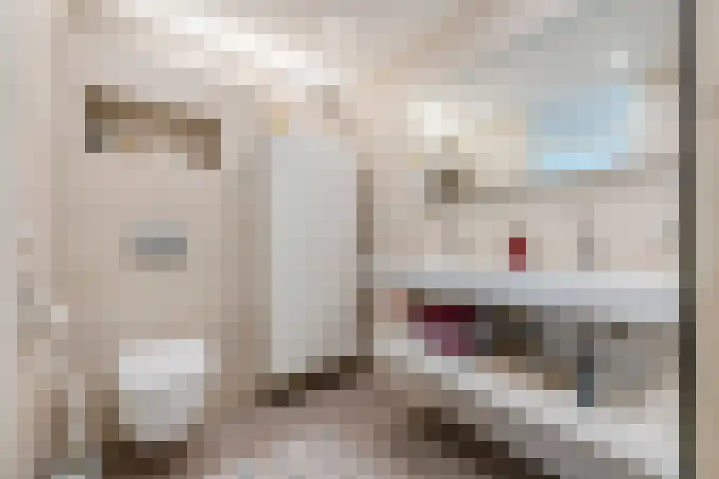 Maalbergenstraat 42 Tilburg thumbnail 25