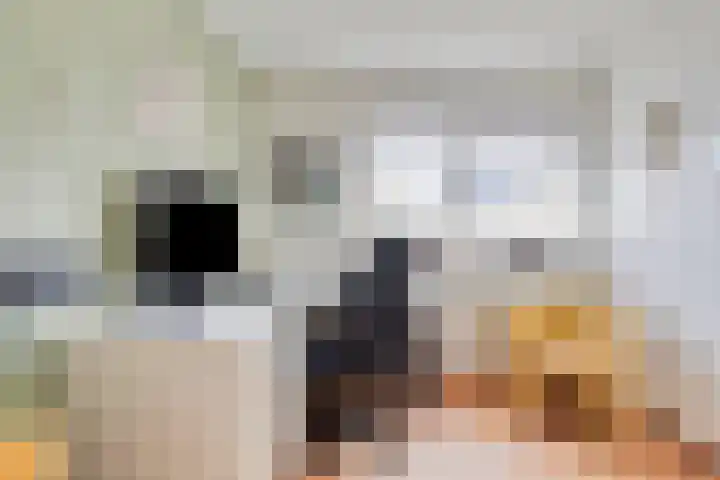 Maalbergenstraat 6 Tilburg thumbnail 26