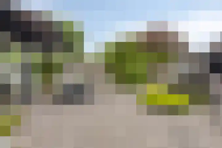Maalbergenstraat 6 Tilburg thumbnail 34