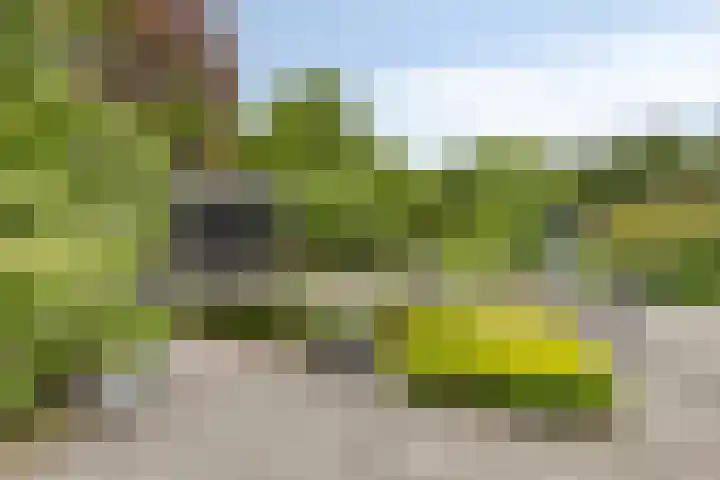 Maalbergenstraat 6 Tilburg thumbnail 35