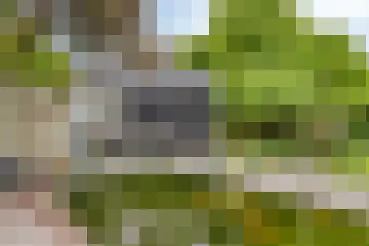 Maalbergenstraat 6 Tilburg thumbnail 36
