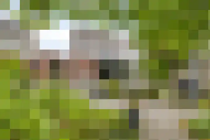 Maalbergenstraat 6 Tilburg thumbnail 37