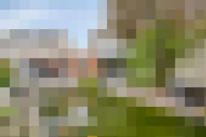 Maalbergenstraat 6 Tilburg thumbnail 39
