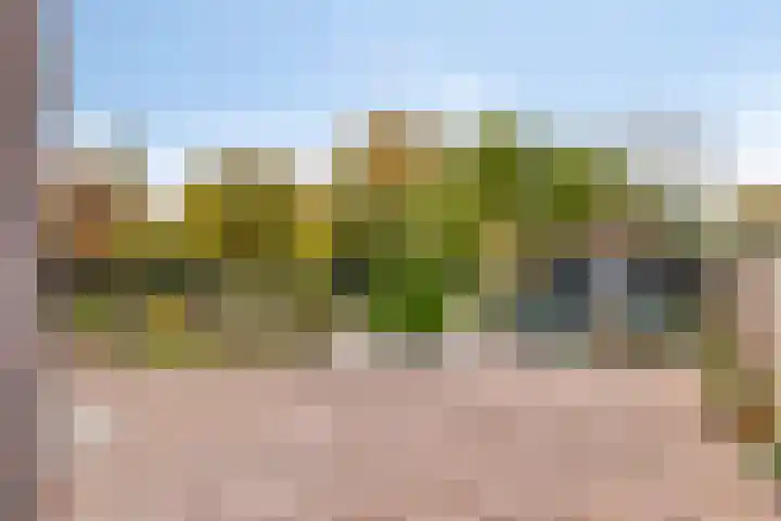 Maalbroek 134 C Roermond thumbnail 12
