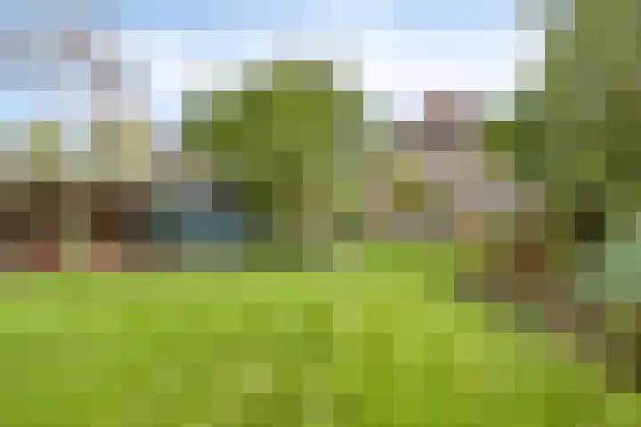 Maalbroek 134 C Roermond thumbnail 15