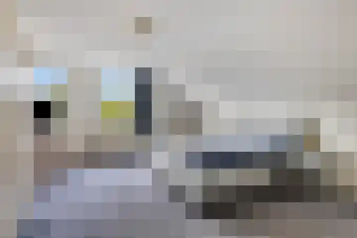 Maalbroek 134 C Roermond thumbnail 19