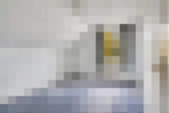 Maalbroek 134 C Roermond thumbnail 22